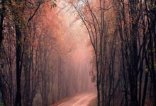 亿德体育下载 -走好发展生态旅游的“平衡木”（览胜观潮）