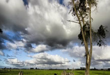 亿德体育 -雄风铸业取得轻量高韧汽车铝铸件压铸方法专利